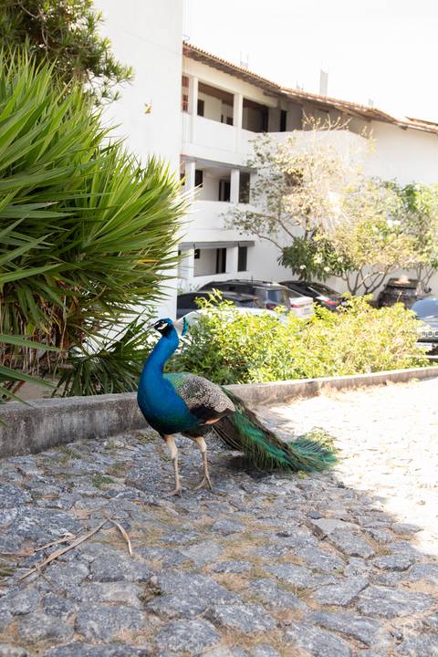 Aula Yoga - Hotel Pontal do Ubu, Guarapari, Espírito Santo'