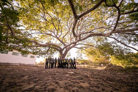 turma de formandos posando para a foto embaixo da famosa pé de tamboril'