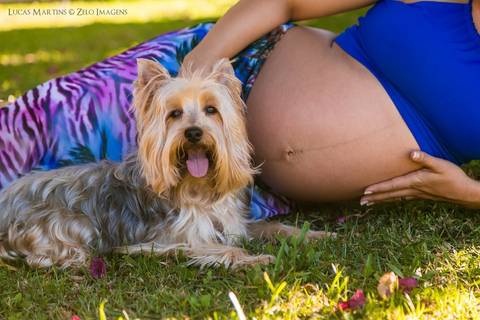 gestante posando com sua barriga junto ao cachorro'