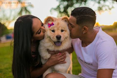 Casal sentado em gramado, dando um beijo no seu cachorro da raça Chau Chau que usa um lacinho rosa. Durante por do sol em sessão fotográfica realizada na cidade de Araçuaí, Minas Gerais'
