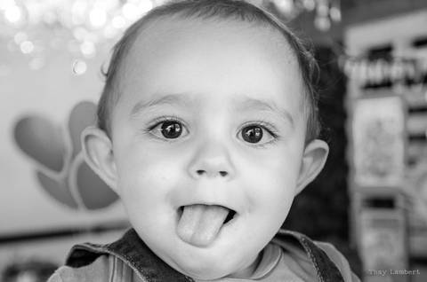 Fotografia de aniversário 1 ano.'