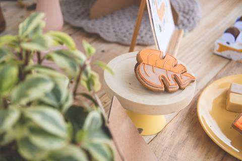 Fotógrafo para festa infantil em Jacareí'
