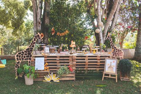 Fotógrafo para festa infantil em Jacareí'