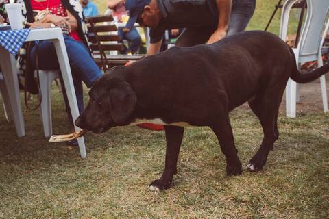 FESTA DE ANIVERSÁRIO NO SITIO'