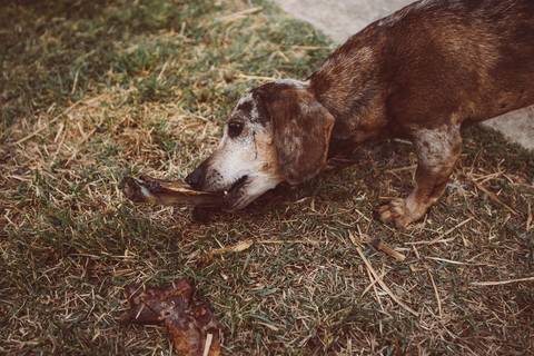 FOTO PARA ANIVERSARIO EM SJC'