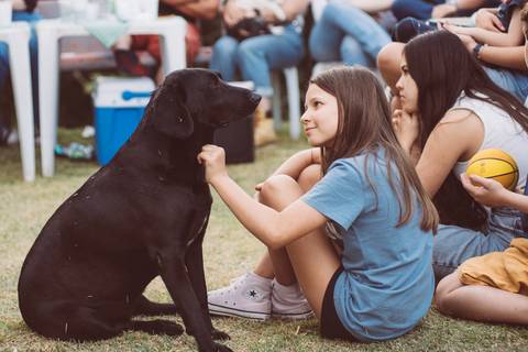 FESTA DE ANIVERSÁRIO NO SITIO'