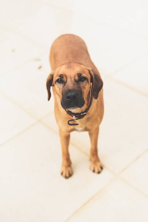 FOTÓGRAFO PARA EVENTOS EM SÃO JOSÉ DOS CAMPOS'