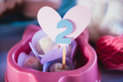 Festa de 2 anos fotógrafo'