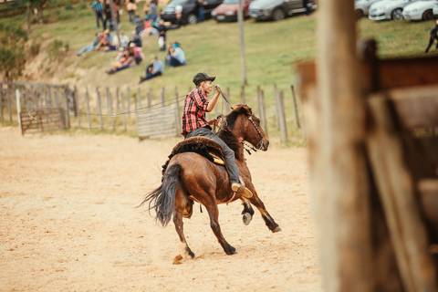FOTO PARA COMPETIÇÂO DE LAÇO'