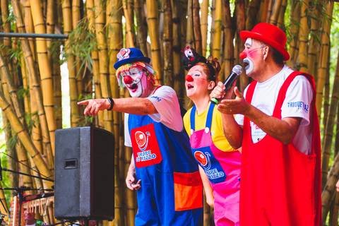 FOTOGRAFIA DE PALCO'