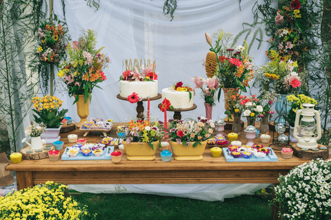 FOTÒGRAFO FESTA 15 ANOS EM SÃO JOSE'