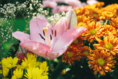 FESTA 15 ANOS FOTOGRAFO'