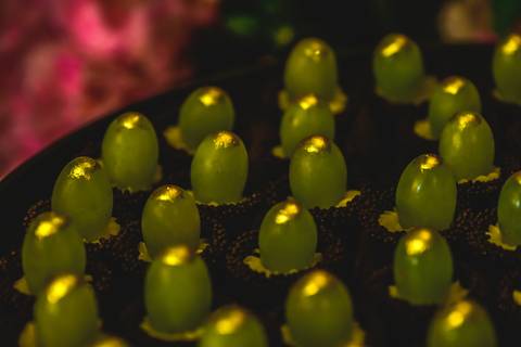 FOTOGRAFO PARA 15 ANOS EM SÃO JOSE DOS CAMPOS'