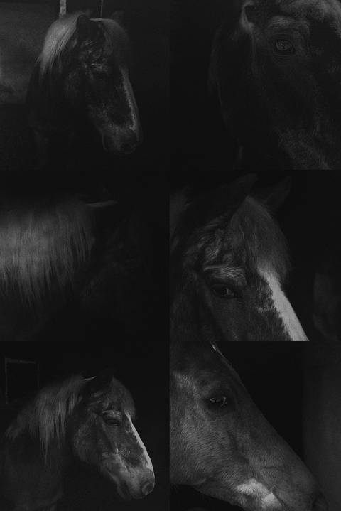 no escuro na solidão'