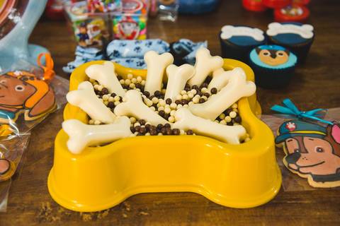 aniversario infantil sjc com os ossos do Chase '