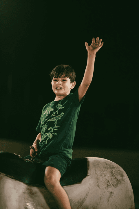 Touro mecânico para aniversario'