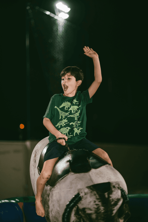 Touro mecânico para aniversario'