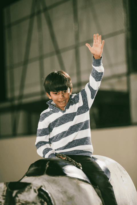 Touro mecânico para aniversario'