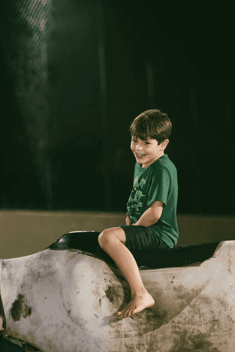 Touro mecânico para aniversario'