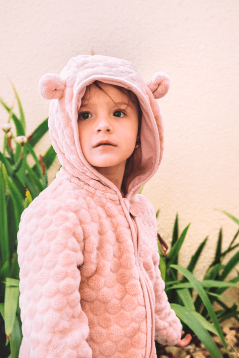 Ursinha ataca novamente em festa de aniversário'