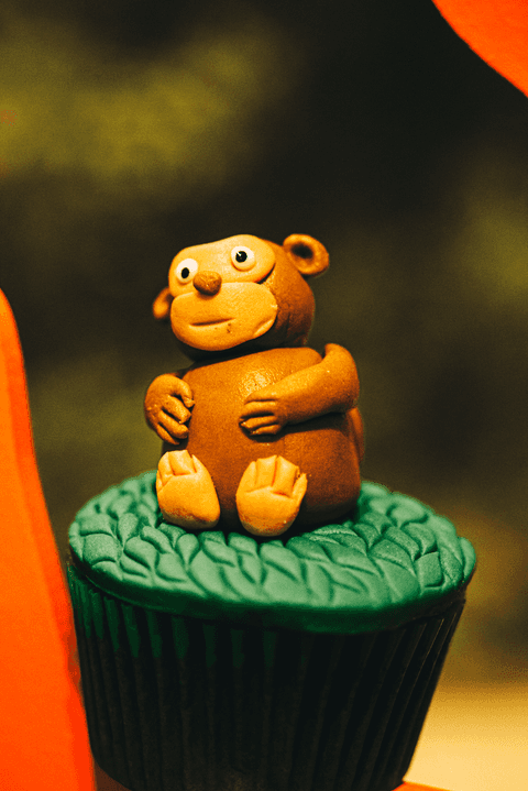 Tema da festa foi ZOO '