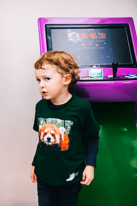 ANIVERSÁRIO no PLAY MINI GOLF Buffet '