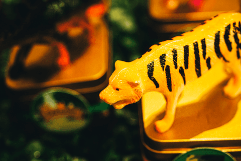 Buffet Infantil Mini Golf  festa de 5 anos  em São José dos Campos'