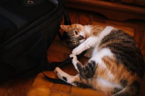 Nos bastidores de uma sessão de retrato de família'