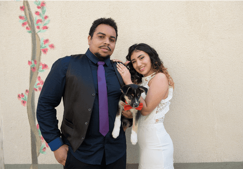 foto com o cachorro no civil em sjcampos'