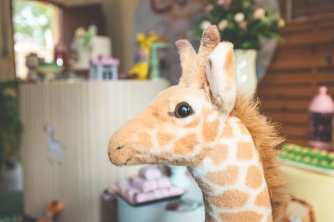 Fotografia na cidade de São José dos Campos'