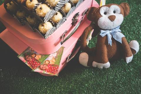 fotógrafo em São José dos Campos  para festa infantil'