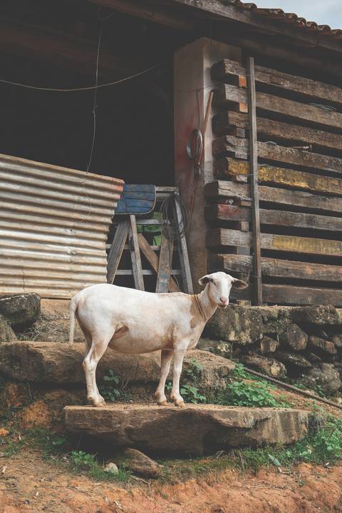 Fotografo SJC e Região'