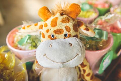 Decoração de festa com tema SAFARI'