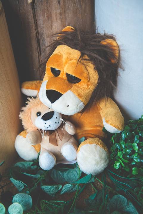 Decoração de festa com tema SAFARI'