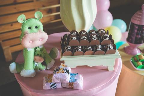 Aniversário com tema de safári '