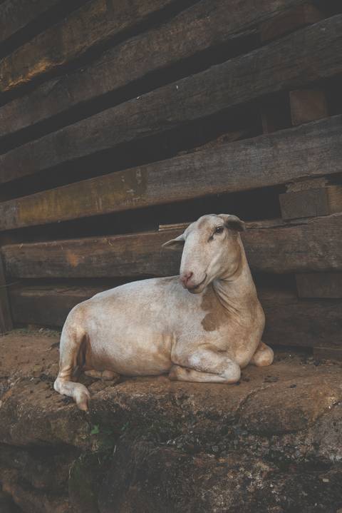 Fotografo SJC e Região'