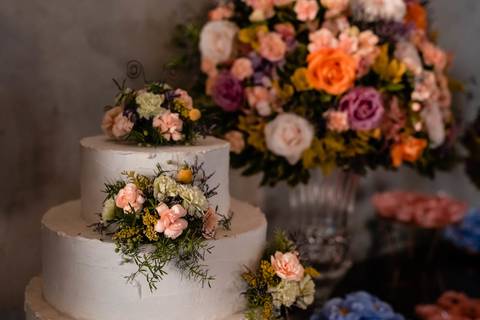 mini wedding, piraciacaba, fotos de casamento, fotos de mini wedding, terra, grupo terra '