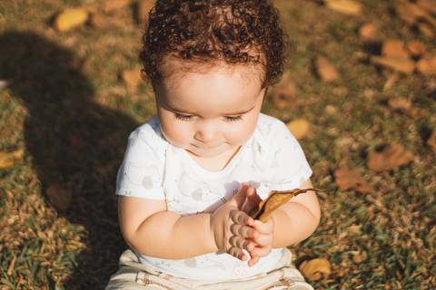 parque Celso Daniel 
Santo André 
bebe sentado na grama 
folha de outono '