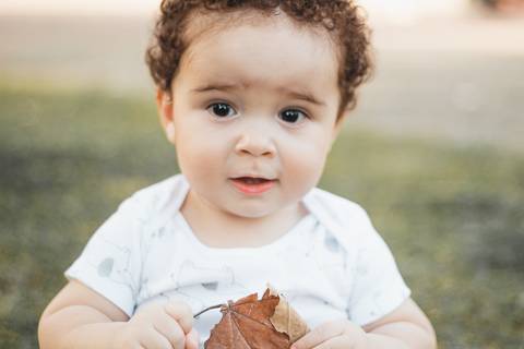 parque Celso Daniel 
Santo André 
bebe sentado na grama 
folha de outono '
