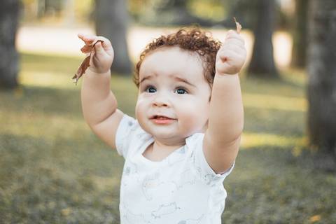 parque Celso Daniel 
Santo André 
bebe sentado na grama 
folha de outono '