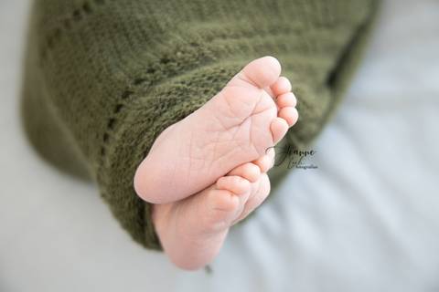 Sessão Recém nascido
Jeanne Look
Fernão Ferro'