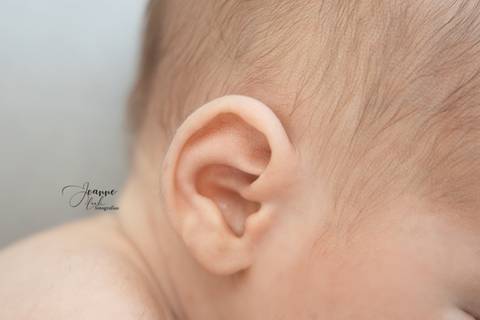 Sessão Recém nascido
Jeanne Look
Fernão Ferro'