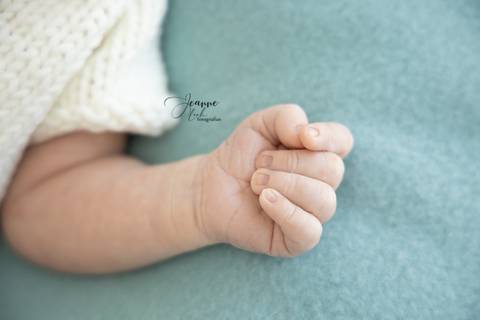 Sessão Recém nascido
Jeanne Look
Fernão Ferro'