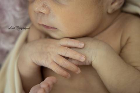 Sessão Newborn
Jeanne Look
Fernão Ferro'