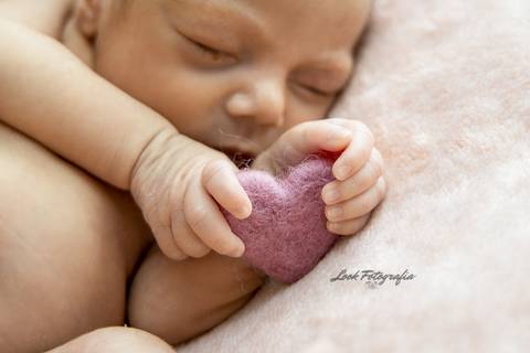 Sessão Newborn
Jeanne Look
Fernão Ferro'