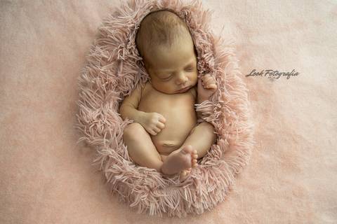 Sessão Newborn
Jeanne Look
Fernão Ferro'