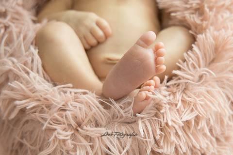 Sessão Newborn
Jeanne Look
Fernão Ferro'