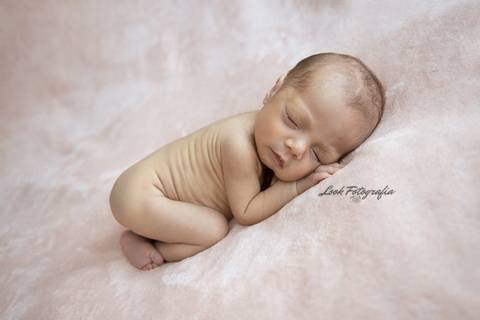 Sessão Newborn
Jeanne Look
Fernão Ferro'