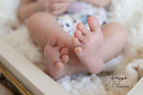 Sessão newborn
Recém nascido
Jeanne look Fotografias
Fernão Ferro'