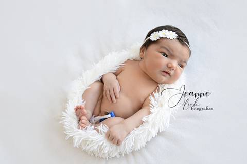Sessão newborn
Recém nascido
Jeanne look Fotografias
Fernão Ferro'
